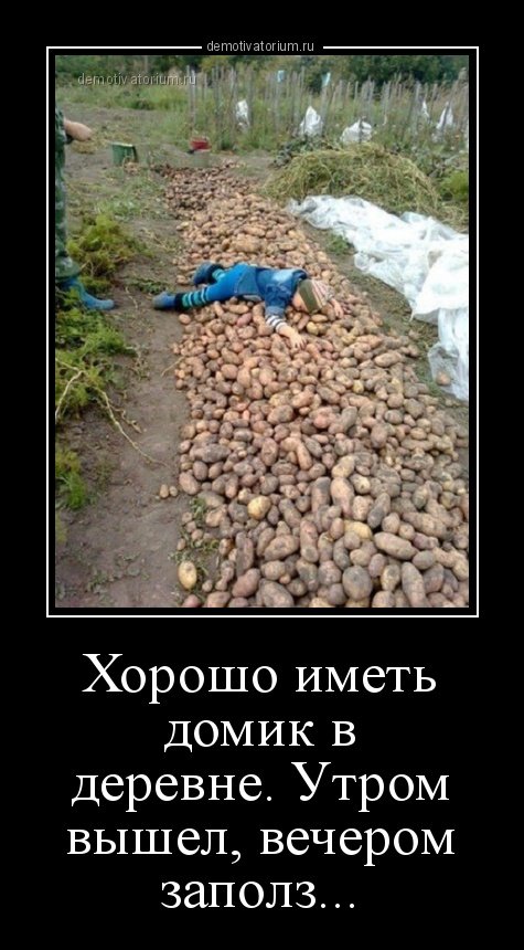 Новые демотиваторы-приколы (10 шт) Новые демотиваторы-приколы (10 шт)