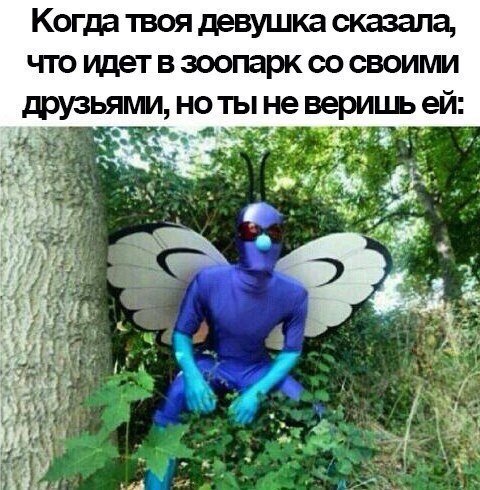 Прикольные фотомемы на Бугаге (24 шт) Прикольные фотомемы на Бугаге (24 шт)