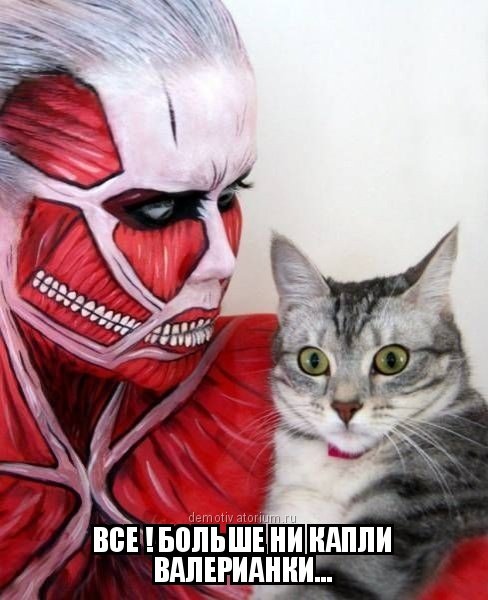 Прикольные фотомемы на Бугаге (24 шт) Прикольные фотомемы на Бугаге (24 шт)