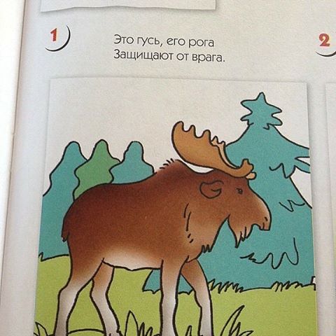 Пост прикольных картинок и фоток (42 шт) Пост прикольных картинок и фоток (42 шт)