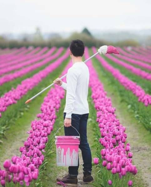 Пост прикольных картинок и фоток (42 шт) Пост прикольных картинок и фоток (42 шт)