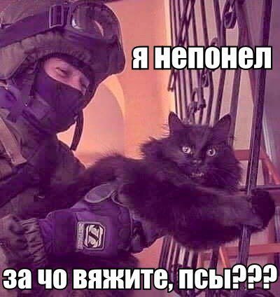 Новые прикольные фотомемы (28 шт) Новые прикольные фотомемы (28 шт)