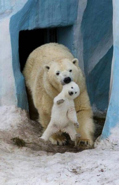 Прикольные картинки для нескучного вечера (35 шт) Прикольные картинки для нескучного вечера (35 шт)