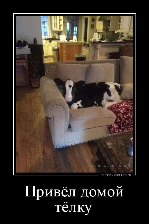 Свежие демотиваторы (12 шт) Свежие демотиваторы (12 шт)