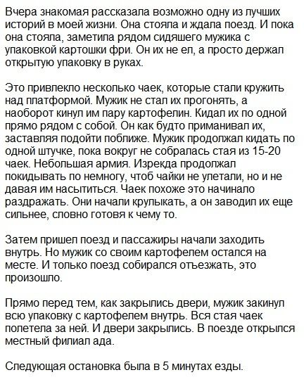 Фото-приколов и картинок ночной пост (41 шт) Фото-приколов и картинок ночной пост (41 шт)