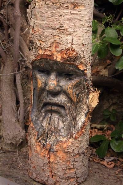 Забавные картинки и прикольные фото (40 шт) Забавные картинки и прикольные фото (40 шт)