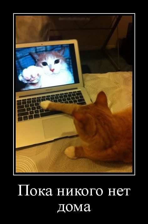 Классные демотиваторы обо всём на свете (11 шт) Классные демотиваторы обо всём на свете (11 шт)