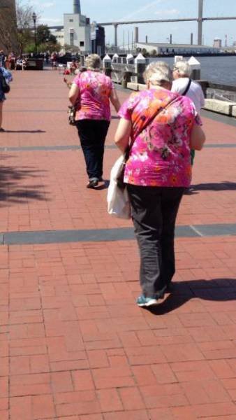 Забавные сходства и совпадения (25 фото) Забавные сходства и совпадения (25 фото)