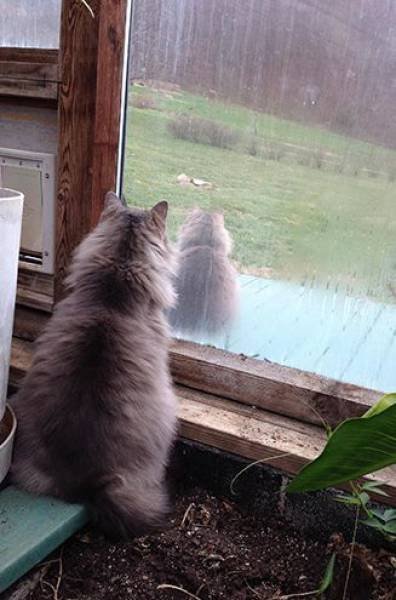 Забавные сходства и совпадения (25 фото) Забавные сходства и совпадения (25 фото)