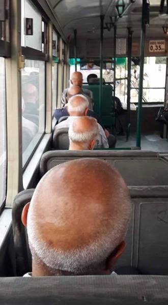 Забавные сходства и совпадения (25 фото) Забавные сходства и совпадения (25 фото)