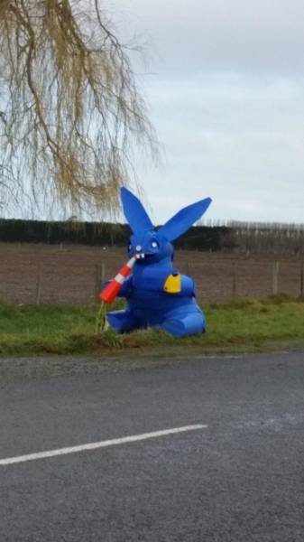 Что здесь происходит? (25 фото) Что здесь происходит? (25 фото)