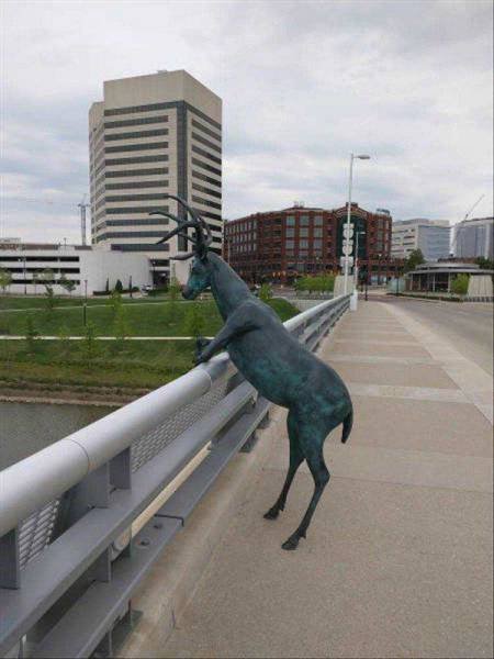 Что здесь происходит? (25 фото) Что здесь происходит? (25 фото)