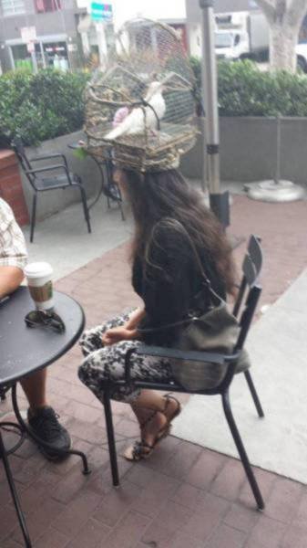 Что здесь происходит? (25 фото) Что здесь происходит? (25 фото)