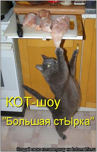 Свежая котоматрица (37 фото) Свежая котоматрица (37 фото)