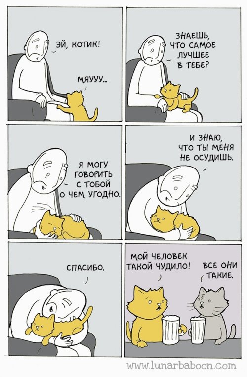 Комиксы про кошек от Lunarbaboon (9 шт)