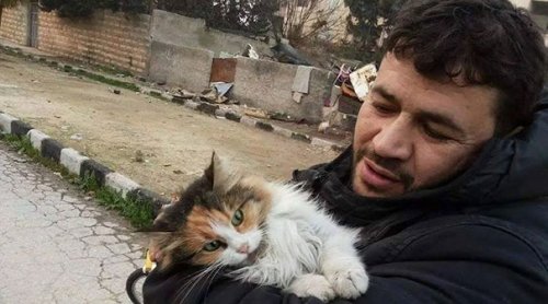 Мужчина живёт в охваченном войной Алеппо, чтобы заботиться о бездомных и брошенных кошках (7 фото + видео)