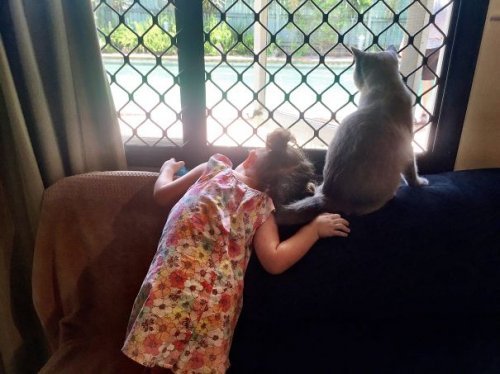 Котятки и ребятки (17 фото) Котятки и ребятки (17 фото)