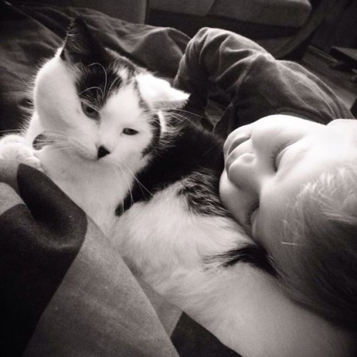 Котятки и ребятки (17 фото) Котятки и ребятки (17 фото)