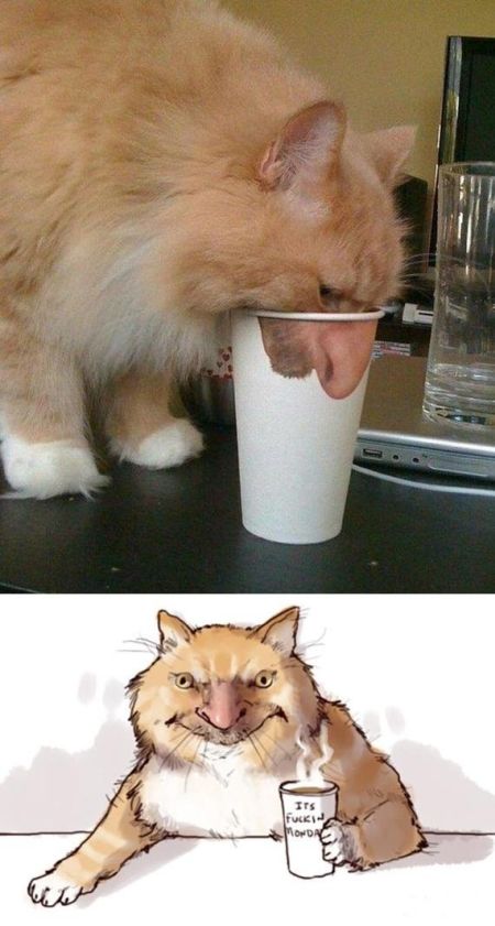 Прикольные картинки в пятницу (60 шт) Прикольные картинки в пятницу (60 шт)