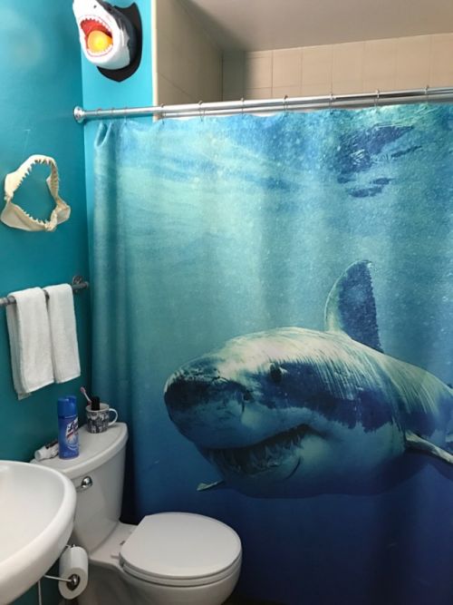 Прикольные картинки в пятницу (60 шт) Прикольные картинки в пятницу (60 шт)