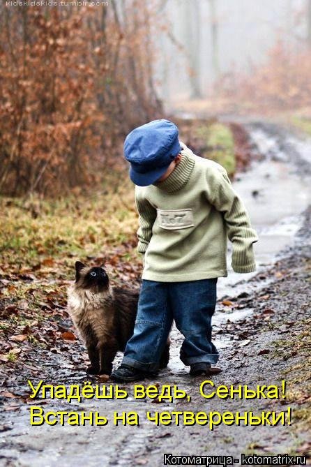 Свежая котоматрица (38 фото) Свежая котоматрица (38 фото)