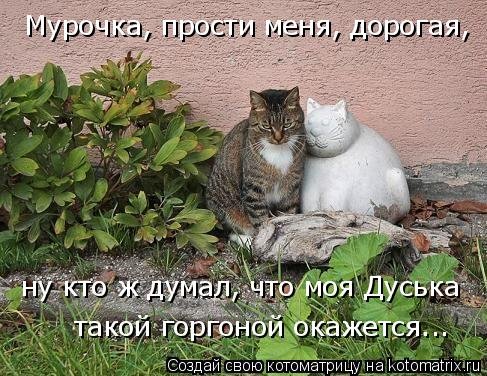 Свежая котоматрица (38 фото) Свежая котоматрица (38 фото)