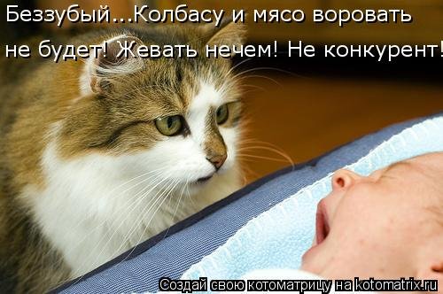 Свежая котоматрица (38 фото) Свежая котоматрица (38 фото)