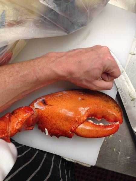 Прикольные картинки в большом количестве (56 шт)