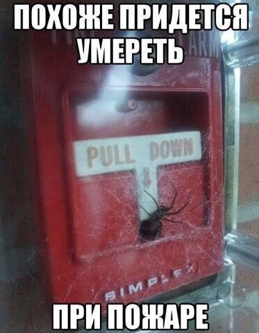 Прикольные фотомемы на Бугаге (20 шт) Прикольные фотомемы на Бугаге (20 шт)