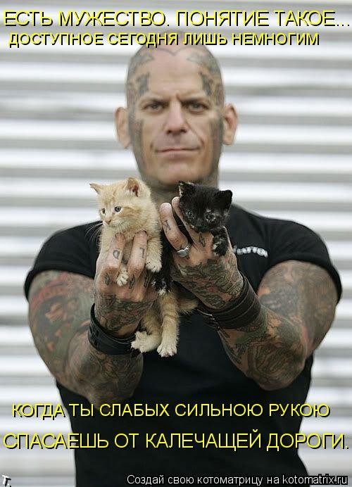 Новая котоматрица для всех и каждого (30 фото) Новая котоматрица для всех и каждого (30 фото)