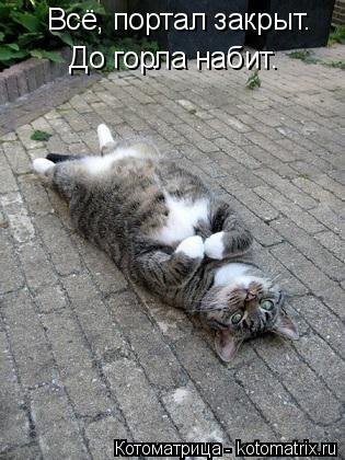 Новая котоматрица для всех и каждого (30 фото) Новая котоматрица для всех и каждого (30 фото)