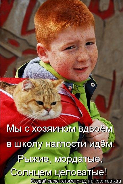 Новая котоматрица для всех и каждого (30 фото) Новая котоматрица для всех и каждого (30 фото)