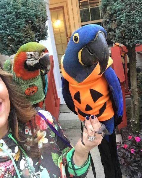 Фото-приколы пятничного дня (61 шт) Фото-приколы пятничного дня (61 шт)