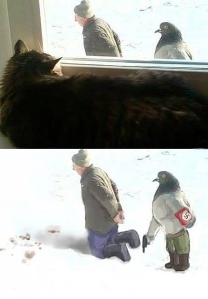 Прикольные картинки в больших дозах (65 шт) Прикольные картинки в больших дозах (65 шт)