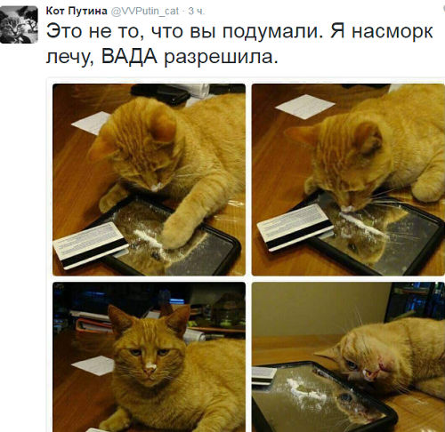 Прикольные картинки в больших дозах (65 шт) Прикольные картинки в больших дозах (65 шт)