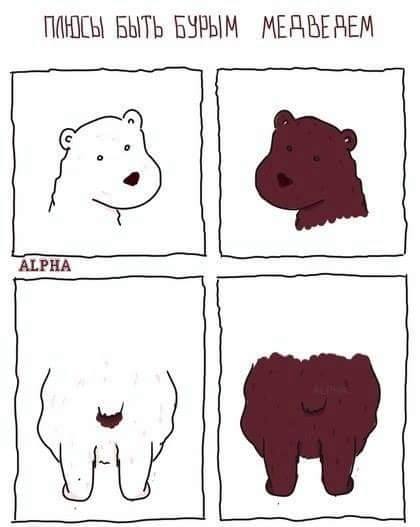 Прикольные картинки в больших дозах (65 шт) Прикольные картинки в больших дозах (65 шт)