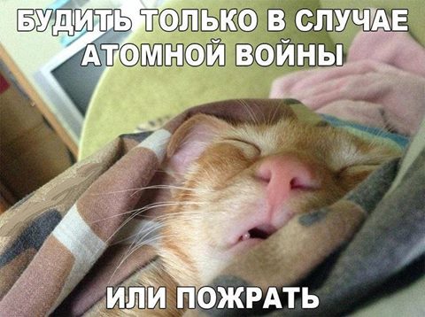 Прикольные картинки среды (48 шт) Прикольные картинки среды (48 шт)