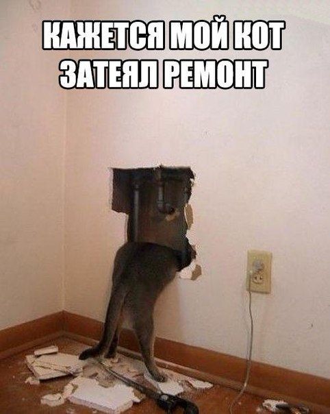 Прикольные картинки среды (48 шт) Прикольные картинки среды (48 шт)