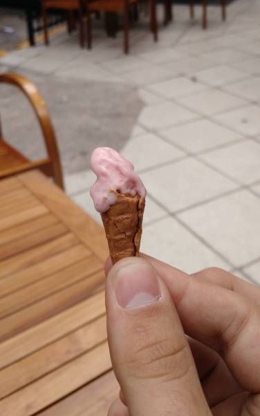 Прикольные картинки среды (48 шт) Прикольные картинки среды (48 шт)