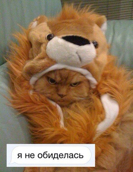 Прикольные картинки среды (48 шт) Прикольные картинки среды (48 шт)