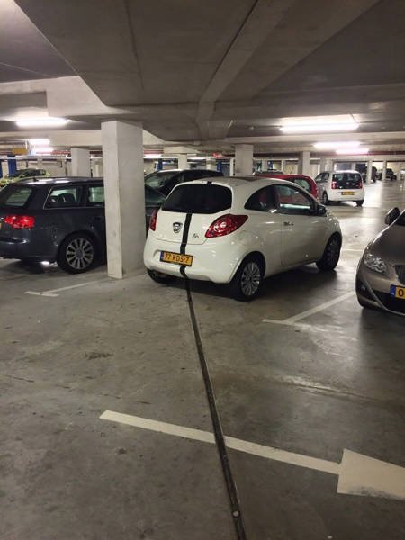 Случайно-удачные стоп-кадры (23 шт) Случайно-удачные стоп-кадры (23 шт)