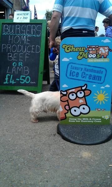 Случайно-удачные стоп-кадры (23 шт) Случайно-удачные стоп-кадры (23 шт)