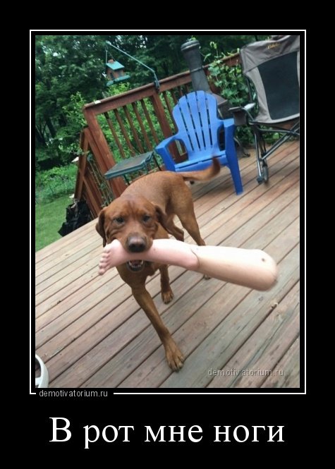 Новые прикольные демотиваторы (17 шт) Новые прикольные демотиваторы (17 шт)