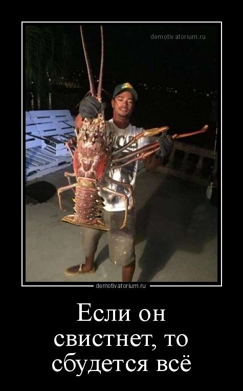 Новые прикольные демотиваторы (17 шт) Новые прикольные демотиваторы (17 шт)