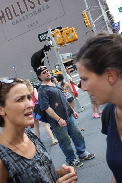 Доминируй, властвуй, унижай (31 фото)