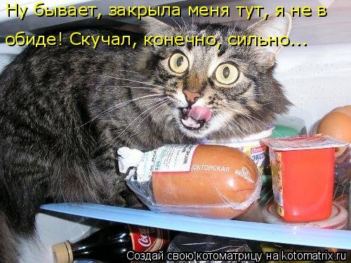 Новая котоматрица для всех (34 фото) Новая котоматрица для всех (34 фото)