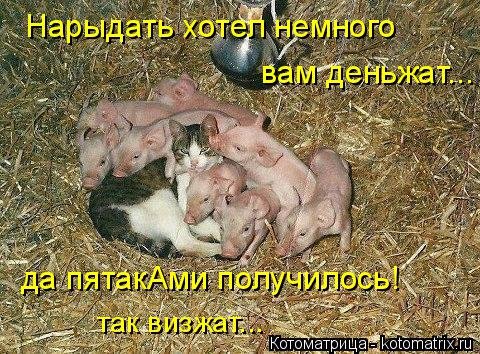 Новая котоматрица для всех (34 фото) Новая котоматрица для всех (34 фото)