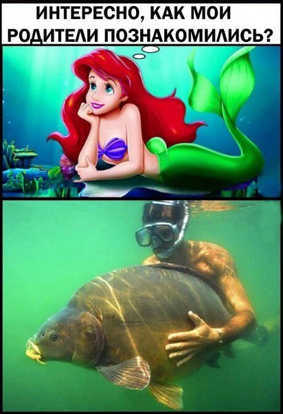 Новые прикольные фотомемы на Бугаге (20 шт) Новые прикольные фотомемы на Бугаге (20 шт)