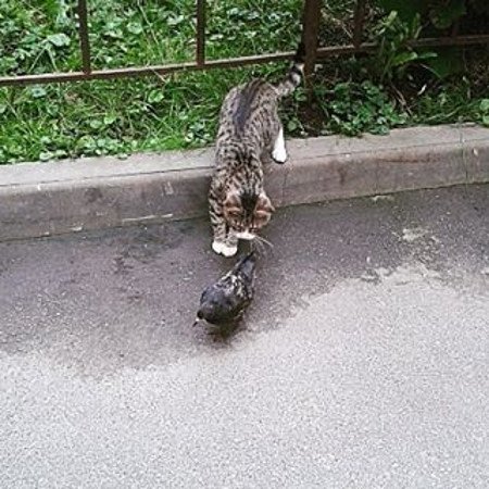 За секунду до… (18 фото) За секунду до… (18 фото)