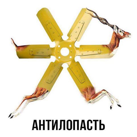 Фото-приколы и картинки дня (34 шт) Фото-приколы и картинки дня (34 шт)